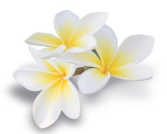 Масло баттер Моной (Тиаре) 