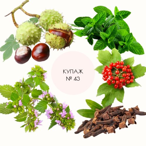 Купаж №43 CO2 экстракт лимфодренажный, против отёков (водорастворимый) 